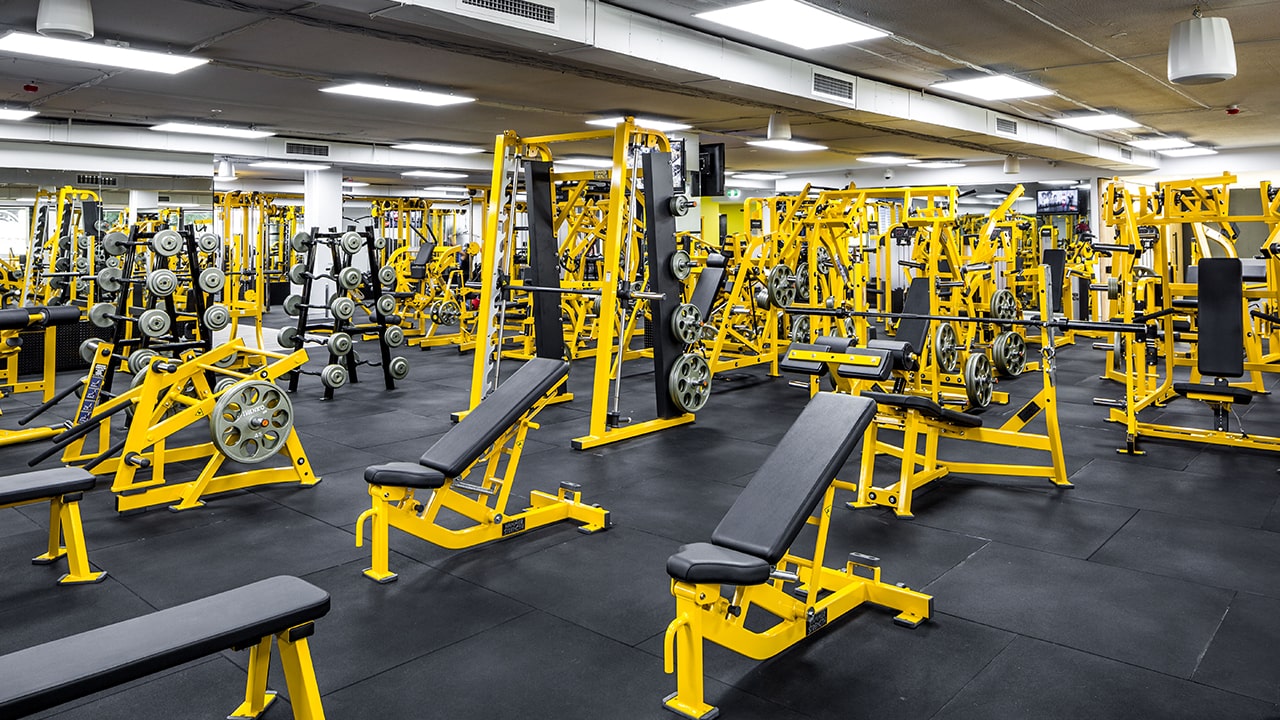 Commercial gym interior fit-out for Gold’s Gym North Sydney by ABACORP commercial fit-out company